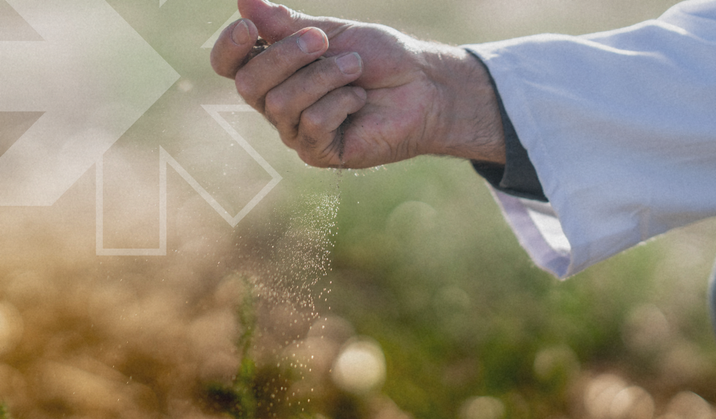 Soil-Salinity-Blog-1