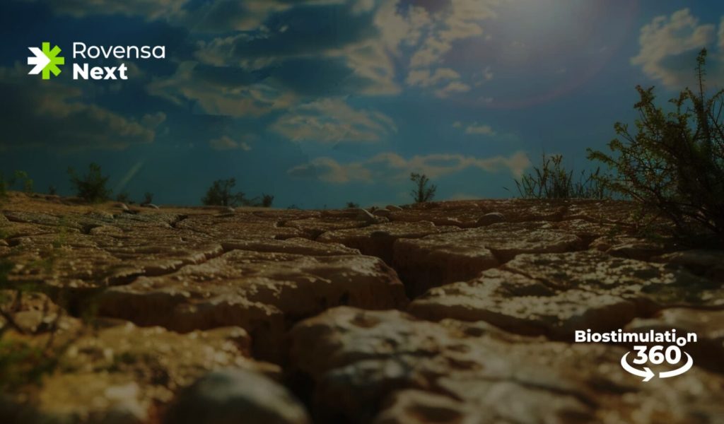 abiotic-stress-BIO-360o-1536x864